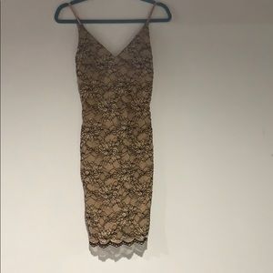 Black and Tan lace fitted dress